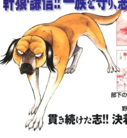 Kenshis