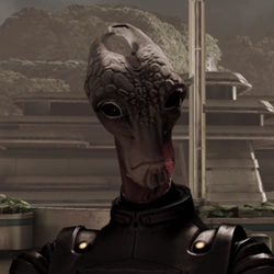 ME3 Major Kirrahe