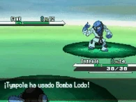 BombalodoNB