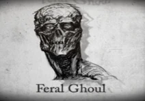 Feralstory