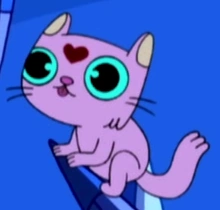 Kitten 1