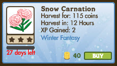 Snow Carnation Market Info