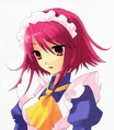 Wilhelmina light novel