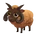 Manx Loaghtan Sheep