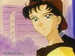Seiya-Kou2