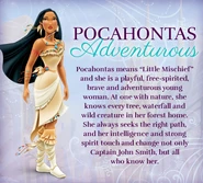 Pocahontas-disney-princess-33526895-441-397