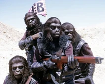 GorillaArmy