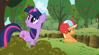 Applejack 'I'd take cover if I were you' S2E3