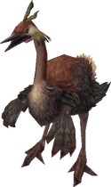 Epiornis-ccvii