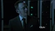 1x22 - FB Finch