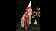 WrestleMania 17.17