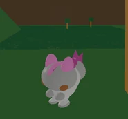 Pachirisu2