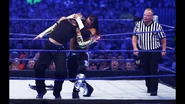 WrestleMania 25.23
