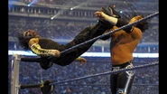 WrestleMania 25.25