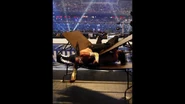 WrestleMania 25.27