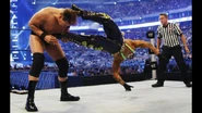 WrestleMania 25.31