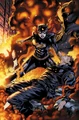 Batgirl Barbara Gordon 0039