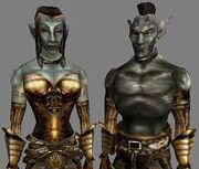 Morrowind, Dunmer