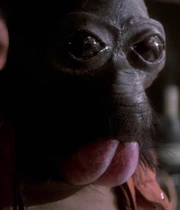 Pondababa