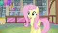 Fluttershy smiling S3E13.png