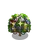 Paparazzi Tree-icon