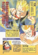 SuperSaiyansV&G(PerfectFiles)