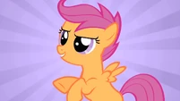 Scootaloo 'acting' S1E18