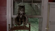 OwlTWD