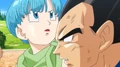 Bulma&Vegeta1(BoG)
