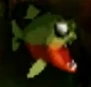 Piranha