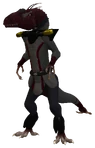Captain Nirndal
