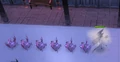 Vanescula shadow stalk.png