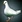 Uncrushable Pigeon icon