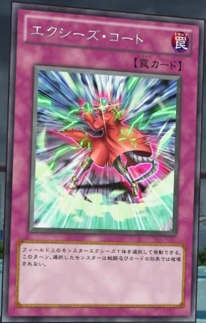 300px-XyzCoat-JP-Anime-ZX.png