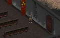 FO1 Flower child.png