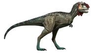 JFCMajunga