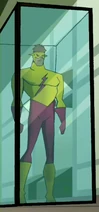 Kid Flash display