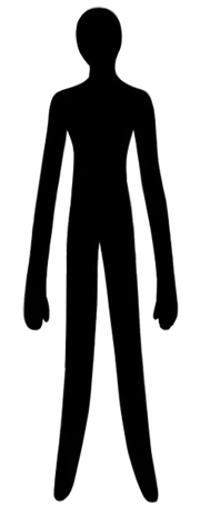 Avenger void