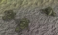 Volencia moss rock.png