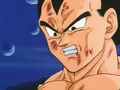 Vegeta BuuSaga