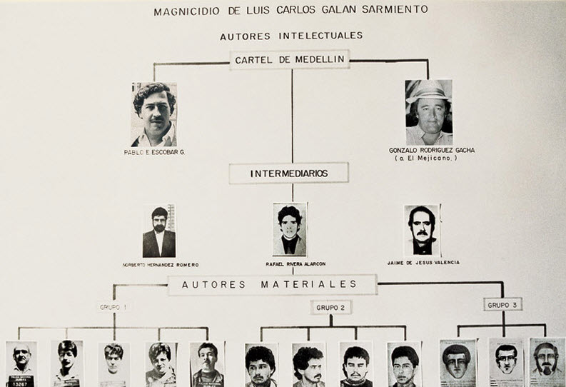 Cartel De Medellín Wiki El Patron Del Mal Pictures