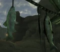 FoNV Dried Fish.png