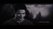 Kellan Lutz as Emmett Cullen