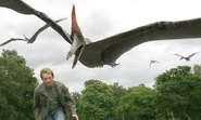 Primeval pteranodon