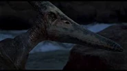 Jp3 pteranodon