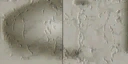 GTSE4F 7cc1eb88 14