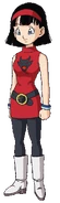 Videl2013.