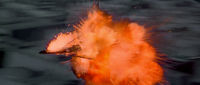 Roasted Porkins