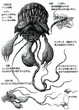 Ff8-blood-soul