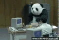 1163479 o.gif